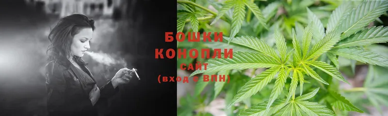 Бошки марихуана THC 21%  где купить наркоту  Каргат 